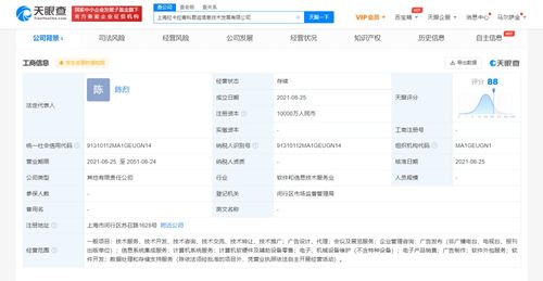 數(shù)據(jù)處理與存儲支持服務 企業(yè)數(shù)字化轉型的基石